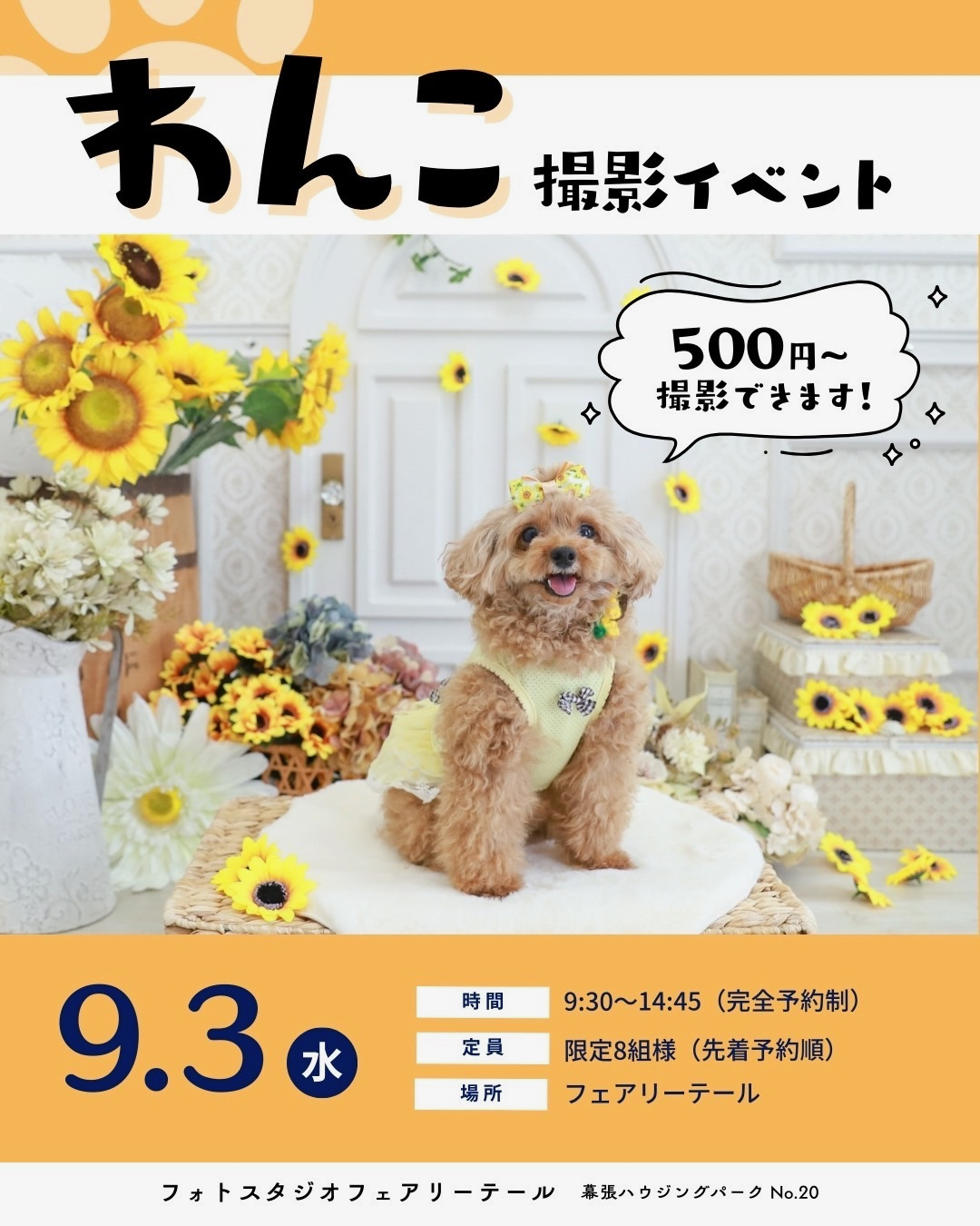 9/3(水)わんこ🐾撮影会開催！